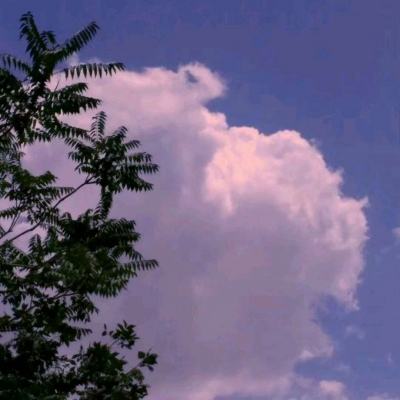 逆天神器游戏下载